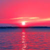 amkhoury81